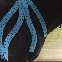 Load and play video in Gallery viewer, Application of Hestaband™ Lymph kinesiology tape on the shoulder for recovery, soreness, and post-performance support applications.
